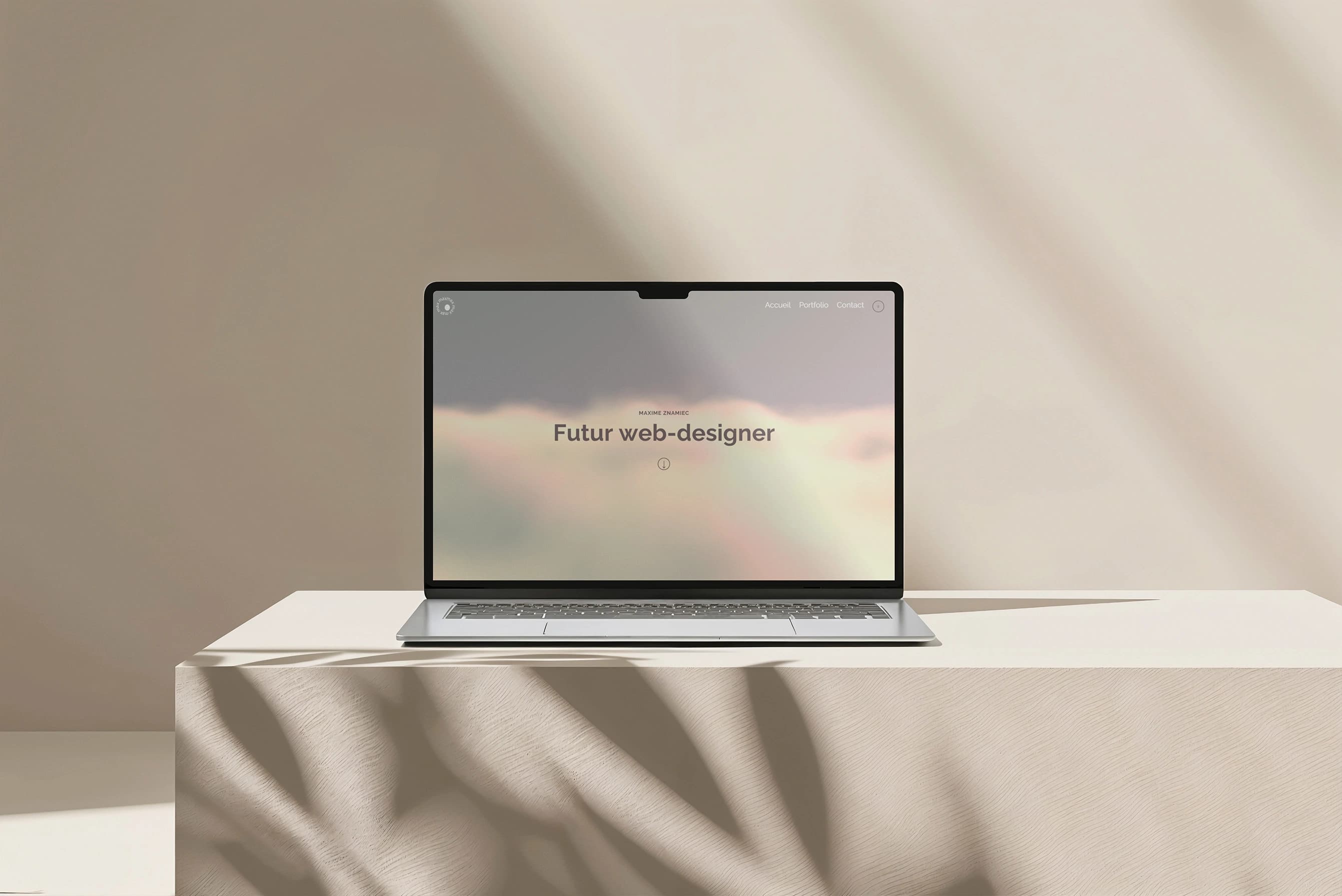 Portfolio interactif